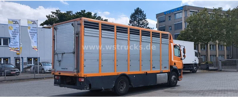 DAF CF 400 - Animal transporter - Для перевезення худоби вантажівка: фото 4 DAF CF 400 - Animal transporter - Для перевезення худоби вантажівка: фото 4