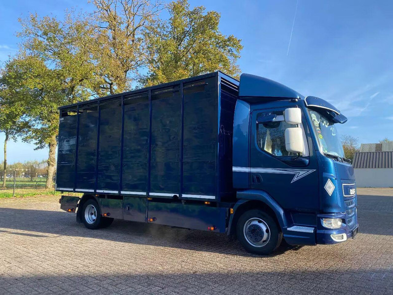 DAF LF 280 - Для перевезення худоби вантажівка: фото 2 DAF LF 280 - Для перевезення худоби вантажівка: фото 2