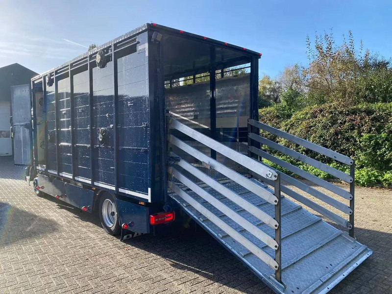 DAF LF 280 - Для перевезення худоби вантажівка: фото 5 DAF LF 280 - Для перевезення худоби вантажівка: фото 5