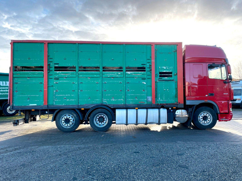 DAF XF 105.460 2-Stock Finkl Viehaufbau / Lenkachs - Для перевезення худоби вантажівка: фото 4 DAF XF 105.460 2-Stock Finkl Viehaufbau / Lenkachs - Для перевезення худоби вантажівка: фото 4