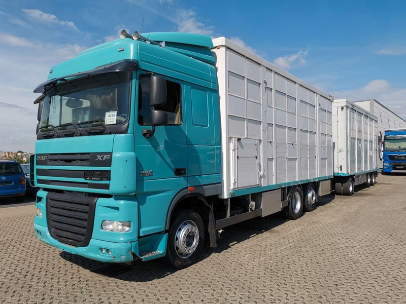 DAF XF 105.460 - Animal transporter + trailer - Для перевезення худоби вантажівка: фото 1 DAF XF 105.460 - Animal transporter + trailer - Для перевезення худоби вантажівка: фото 1