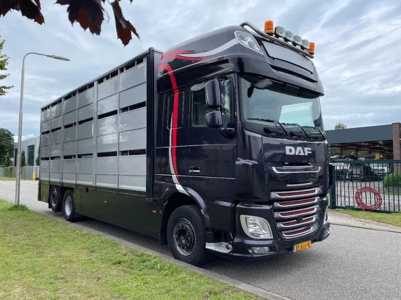 DAF XF 460 - Animal transporter - Для перевезення худоби вантажівка: фото 2 DAF XF 460 - Animal transporter - Для перевезення худоби вантажівка: фото 2