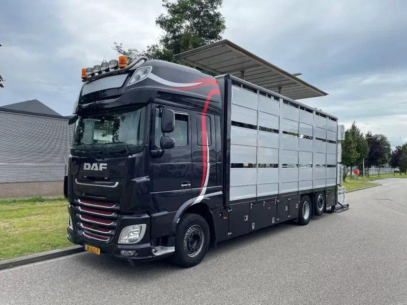 DAF XF 460 - Animal transporter - Для перевезення худоби вантажівка: фото 3 DAF XF 460 - Animal transporter - Для перевезення худоби вантажівка: фото 3