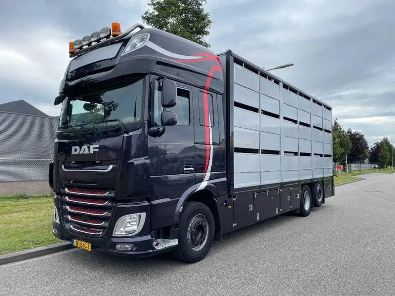 DAF XF 460 - Animal transporter - Для перевезення худоби вантажівка: фото 1 DAF XF 460 - Animal transporter - Для перевезення худоби вантажівка: фото 1