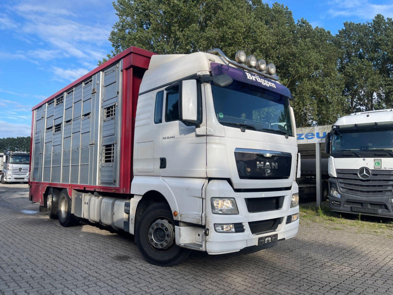 MAN TGX 26.400 6x2-2 LL 3 Stück Finkl Hubdach - Для перевезення худоби вантажівка: фото 5 MAN TGX 26.400 6x2-2 LL 3 Stück Finkl Hubdach - Для перевезення худоби вантажівка: фото 5
