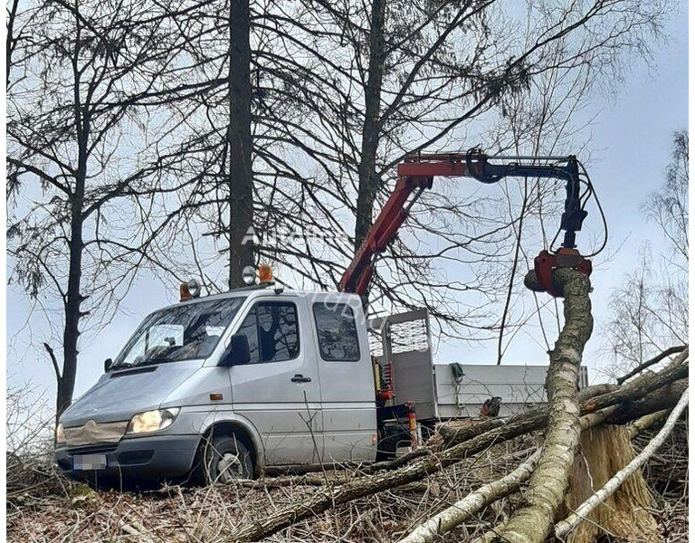 Mercedes-Benz 413 - Doka tipper+crane with gripper - Самоскид вантажівка, Вантажівка з маніпулятором: фото 3 Mercedes-Benz 413 - Doka tipper+crane with gripper - Самоскид вантажівка, Вантажівка з маніпулятором: фото 3