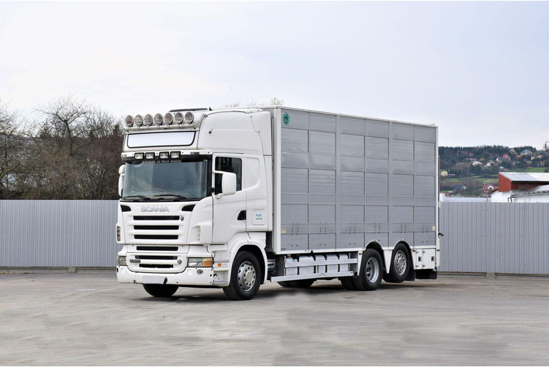 Scania R 500 - Для перевезення худоби вантажівка: фото 1 Scania R 500 - Для перевезення худоби вантажівка: фото 1