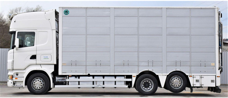 Scania R 500 - Для перевезення худоби вантажівка: фото 3 Scania R 500 - Для перевезення худоби вантажівка: фото 3