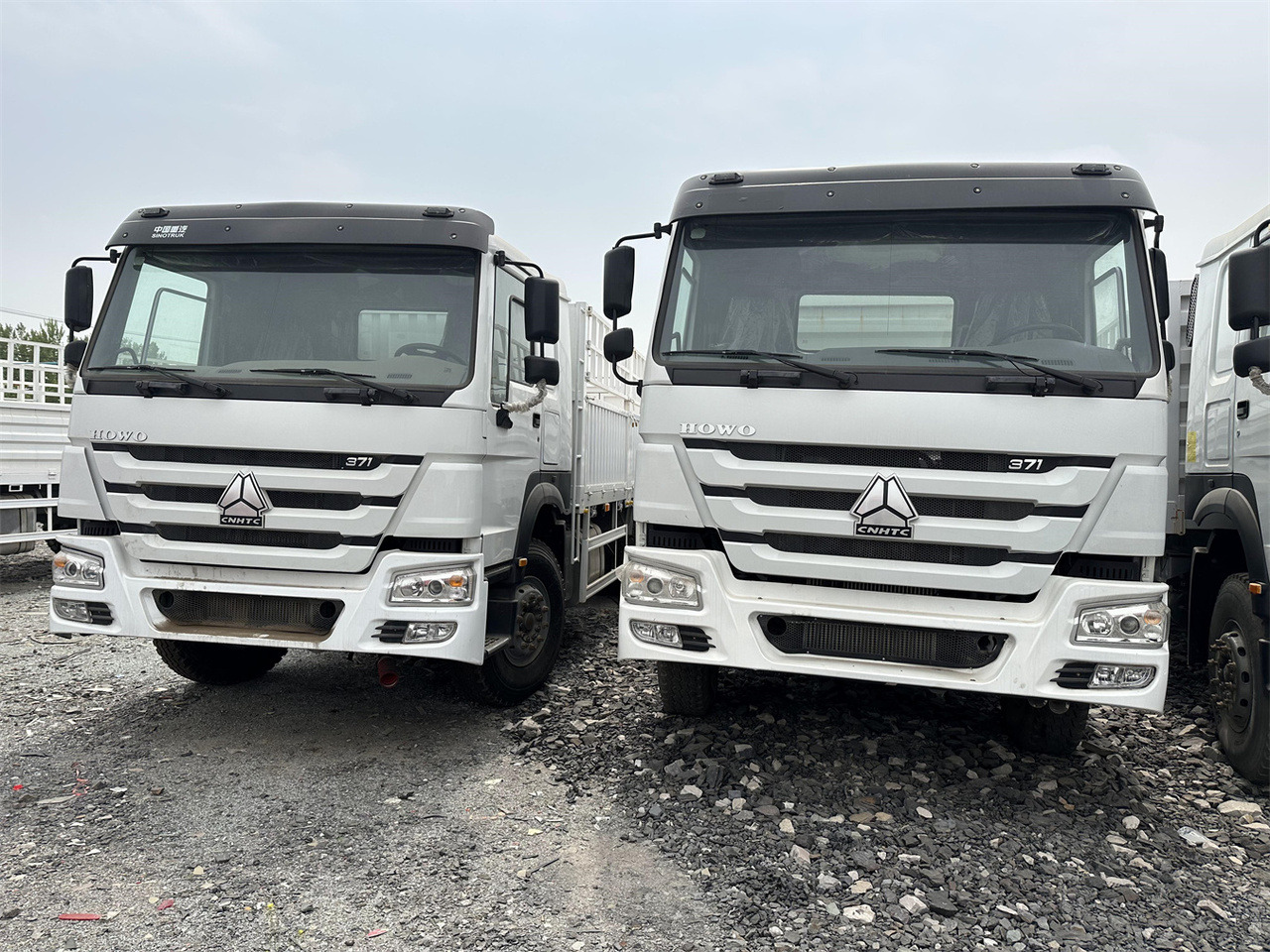 SINOTRUK HOWO 371 Cargo truck - Для перевезення худоби вантажівка: фото 1 SINOTRUK HOWO 371 Cargo truck - Для перевезення худоби вантажівка: фото 1