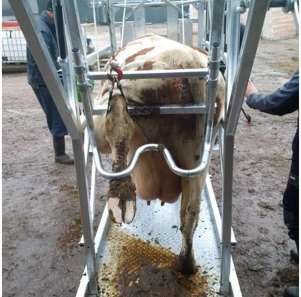 Новий Техніка для тваринництва Klauwbekapbox Type L: фото 6 Новий Техніка для тваринництва Klauwbekapbox Type L: фото 6