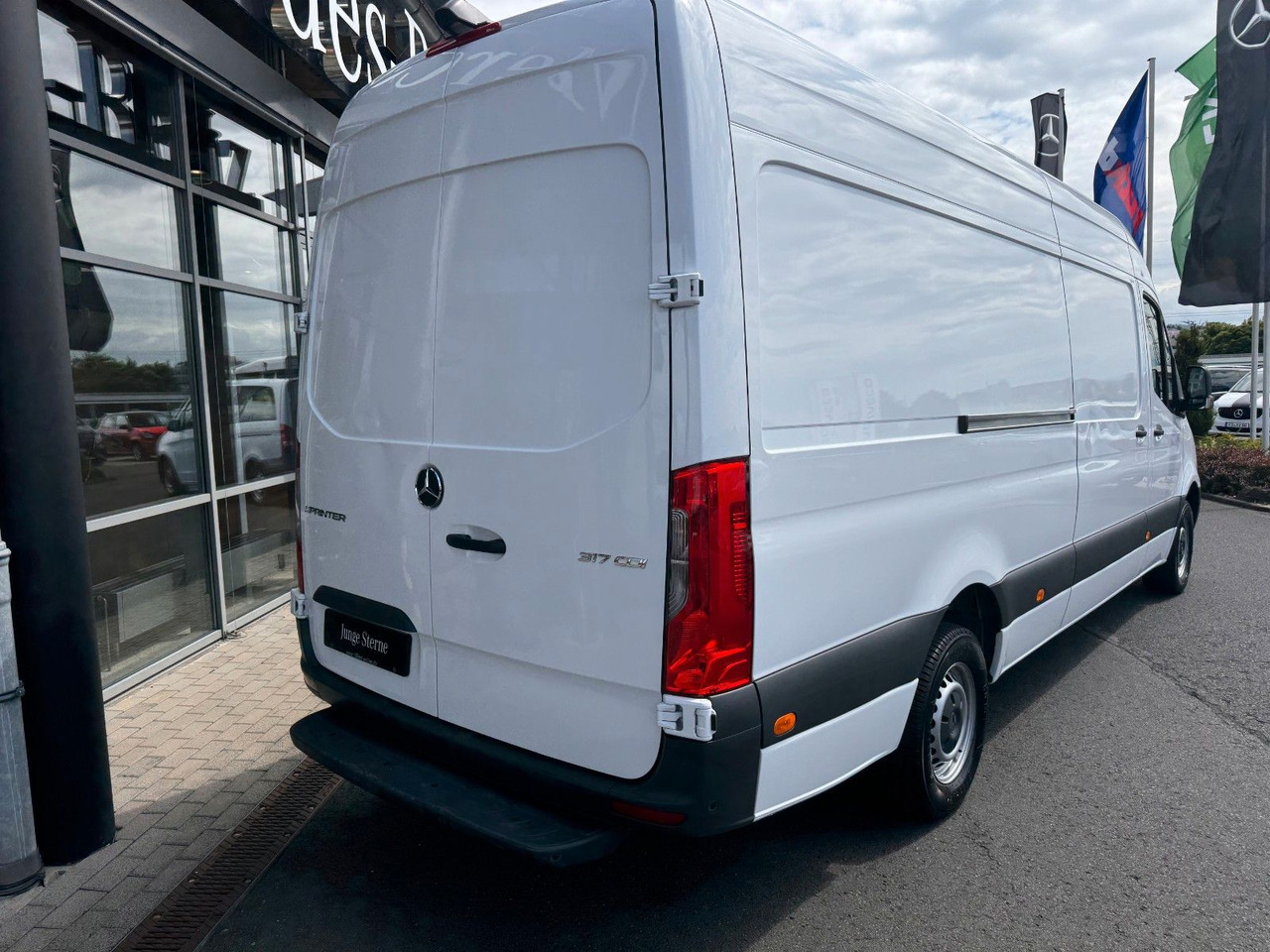 Mercedes-Benz Sprinter 317 CDI 4325 9G Klima Kamera Schwing - Суцільнометалевий фургон: фото 4 Mercedes-Benz Sprinter 317 CDI 4325 9G Klima Kamera Schwing - Суцільнометалевий фургон: фото 4