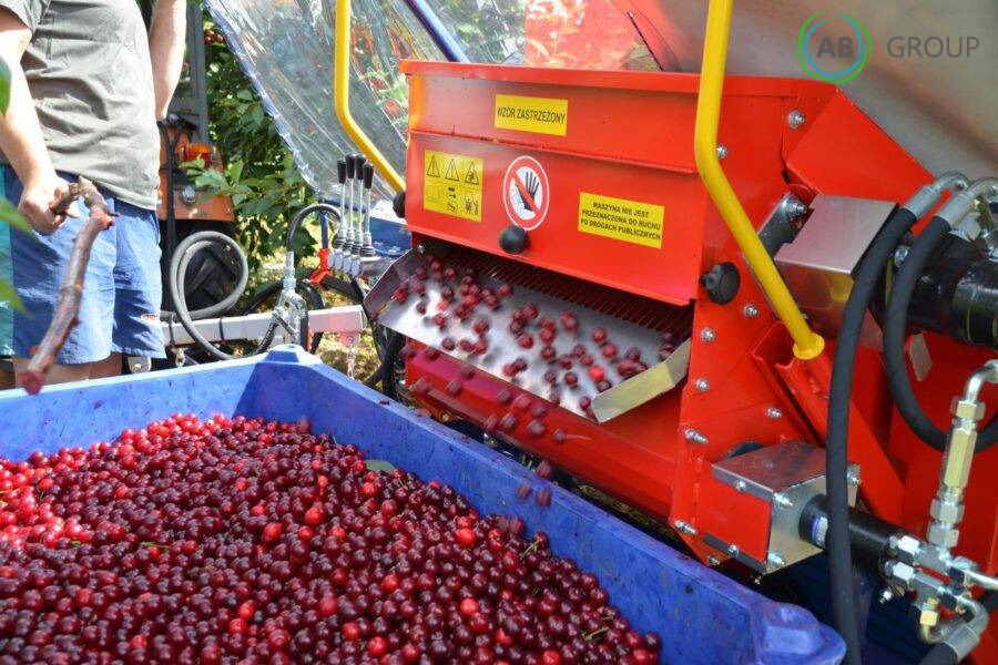 Jagoda machine for harvesting cherries, plums Gacek - Техніка для саду та городу: фото 4 Jagoda machine for harvesting cherries, plums Gacek - Техніка для саду та городу: фото 4