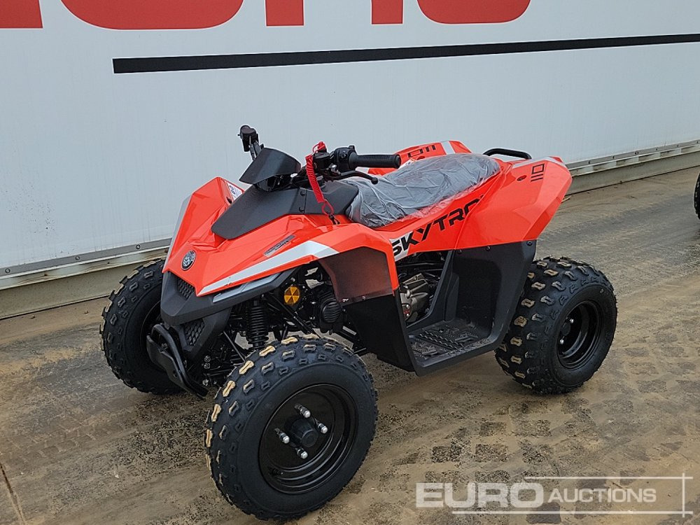 Unused 2025 Skytron Cub, 110cc Petrol Quad Bike, Liquid Cooled, LED Lighting Pack - Квадроцикл: фото 1 Unused 2025 Skytron Cub, 110cc Petrol Quad Bike, Liquid Cooled, LED Lighting Pack - Квадроцикл: фото 1