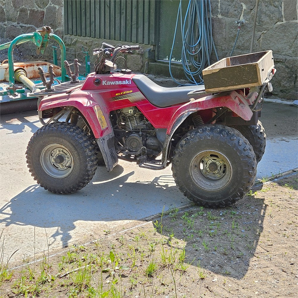 Kawasaki KLF 250 - Квадроцикл: фото 3 Kawasaki KLF 250 - Квадроцикл: фото 3