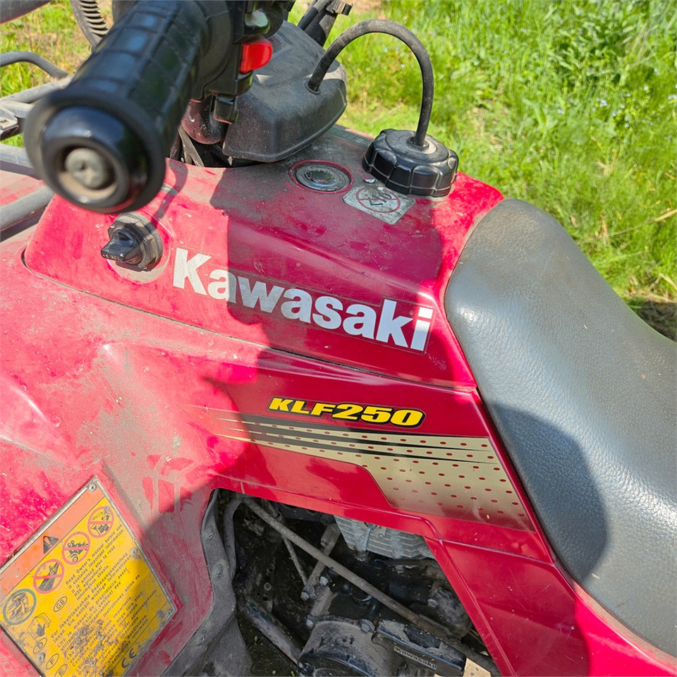 Квадроцикл Kawasaki KLF 250: фото 9