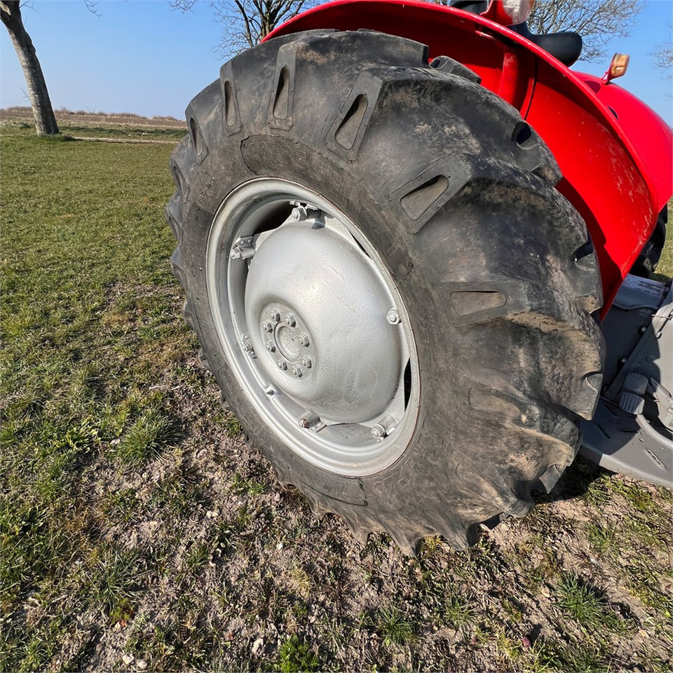 Massey Ferguson 135 Diesel в лізинг Massey Ferguson 135 Diesel: фото 33