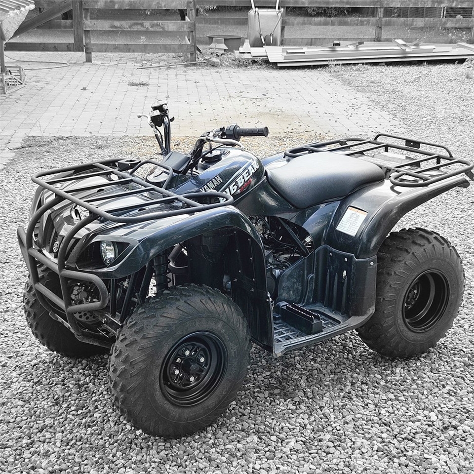 Yamaha YFM 250 - Квадроцикл: фото 3 Yamaha YFM 250 - Квадроцикл: фото 3