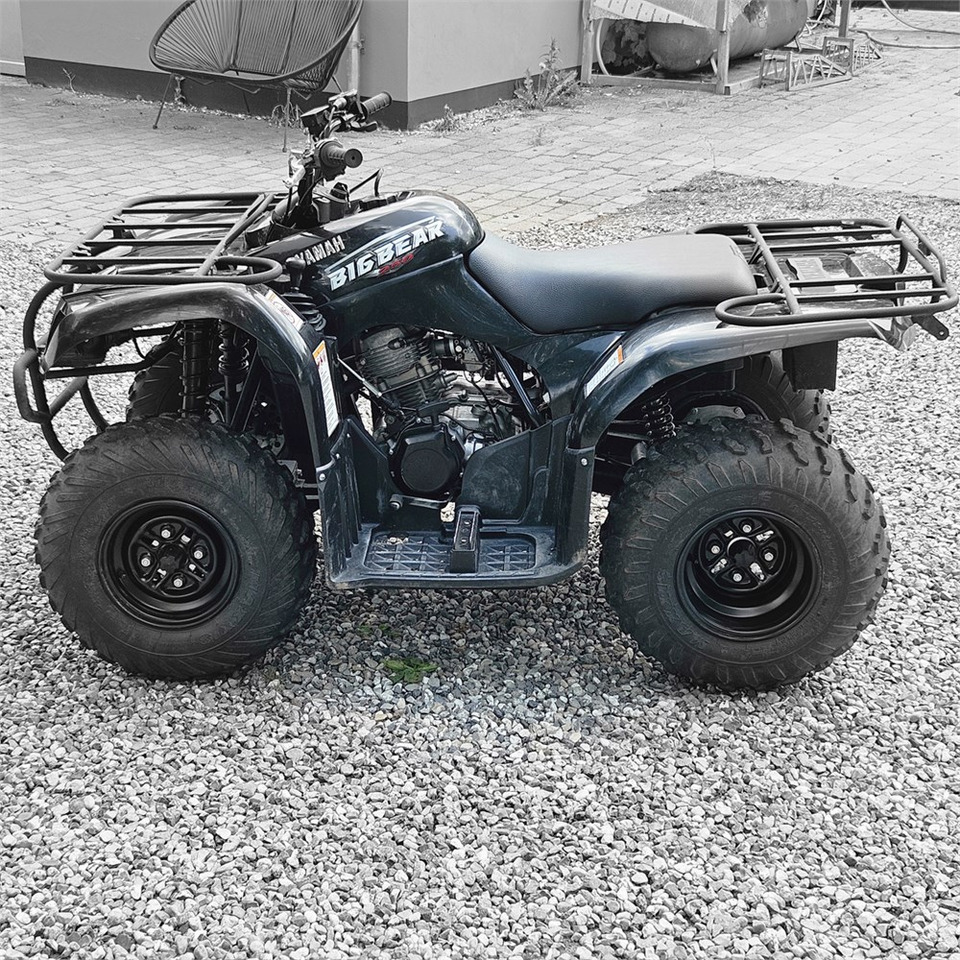 Yamaha YFM 250 - Квадроцикл: фото 4 Yamaha YFM 250 - Квадроцикл: фото 4