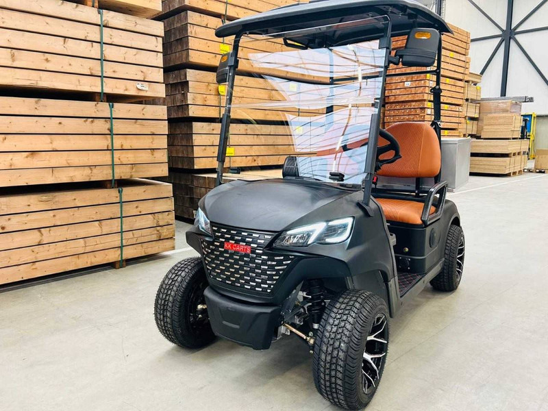 RTE  - Гольф-кар: фото 4 RTE  - Гольф-кар: фото 4