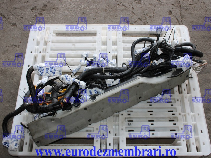 INSTALATIE ELECTRICA MOTOR MAN D2676 LF51 81.25459.6956 - Кабелі/ Дроти в категорії Вантажівки: фото 1 INSTALATIE ELECTRICA MOTOR MAN D2676 LF51 81.25459.6956 - Кабелі/ Дроти в категорії Вантажівки: фото 1