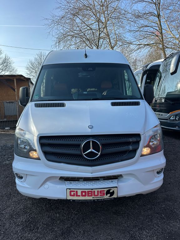 Mercedes-Benz Sprinter Altas 516 CDi Multiline (DE*AC*Reise)  в лізинг Mercedes-Benz Sprinter Altas 516 CDi Multiline (DE*AC*Reise): фото 8