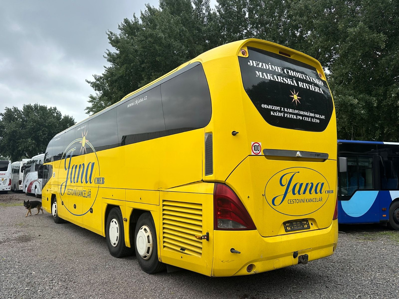 Neoplan P15 Cityliner Euro4*55 Sitze - Туристичний автобус: фото 2 Neoplan P15 Cityliner Euro4*55 Sitze - Туристичний автобус: фото 2